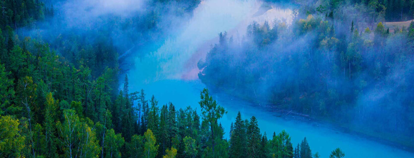 社會(huì)效益：環(huán)保 + 減碳+醫(yī)療三重價(jià)值