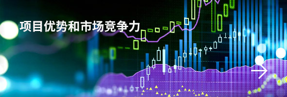 項(xiàng)目?jī)?yōu)勢(shì)和市場(chǎng)競(jìng)爭(zhēng)力