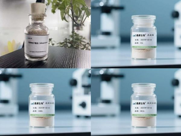 e86c19e0cee7603c12356c1f22e1d935